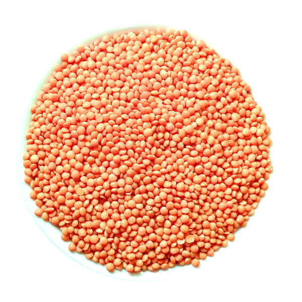Masoor Dal Choto Dana High Quality 5 Kg